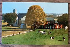 POSTCARD Heart of Amishland, Amish Farm 1968 Witmer, Pennsylvania PA Cattle picture