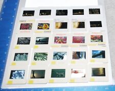 25 Vintage Magazine quality type slides by professional photographer collection picture