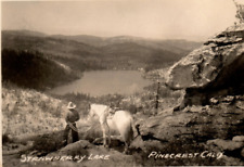Pinecrest California Cowboy Strawberry Lake Real Photo Postcard RPPC picture
