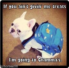 Funny Dog Humor French Bulldog Gonna Go To Gramma's Refrigerator Magnet   picture