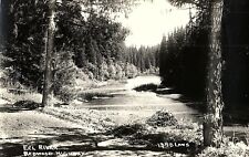 Vintage RPPC Eel River Redwood Highway Postcard P128 picture