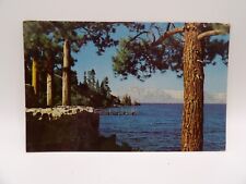 Vintage Postcard CALIFORNIA 1960's Lake Tahoe, Selithco True Color Card picture