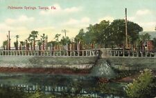 FLORIDA POSTCARD: VIEW OF BRIDGE AT PALMACEIA SPRINGS, TAMPA, FL picture