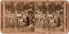 1876 Centennial Exposition U.S.A Philadelphia.Stereoview.Albuminated Stereo Photo. picture