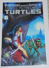 1988 Mirage Studios Eastman and Laird's Teenage Mutant Ninja Turtles #13 picture