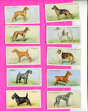 1937 W.D. & H.O. WILL'S CIGARETTES DOGS 10 DIFFERENT TOBACCO CARD LOT picture