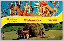 Postcard Indiana Mishawaka Harvesting Hay Cornstalks c1961 9A picture