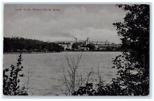 1907 Lake Alice Scenic View Fergus Falls Minnesota MN Posted Trees Postcard picture