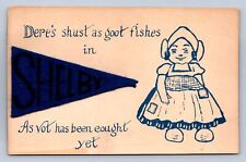 J97/ Shelby Ohio Felt Pennant Postcard c1910 Dutch Child Been Caught 4 picture