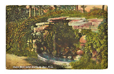 Postcard MN St. Paul Minnesota Como Park Water Grotto Vintage c1910s picture