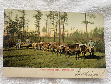 1909-Mobile-Alabama-Post Card -An Oxen Pulling A Wagon Of logs-with Worker Guide picture