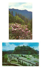Newfound Gap Smoky Mountains TN NC 2 Postcards Tennessee North Carolina picture