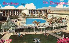 Vintage 1960s Postcard TROPICANA Swimming Pool Day Casino Hotel RARE  picture
