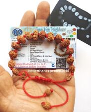 Siddha Rudraksha Bracelet 1 To 14 Mukhi Rudraksh Java Origin ~ Lab Certified picture