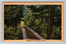 Kalamazoo MI-Michigan, Greetings, Scenic Lush Roadway Vintage Souvenir Postcard picture