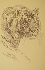 Royal Bengal Tiger Art Print #37 Stephen Kline WORD DRAWING A Great Big Cat Gift picture