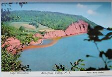 Cape Blomidon Annapolis Valley Nova Scotia Canada Postcard 4X6 Unposted Chrome picture