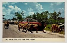 1968 Lion Country Safari West Palm Beach Florida African Wildlife VTG Postcard picture