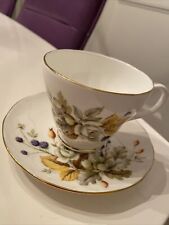 Vintage Duchess Autumn Teacup & Saucer Made in England picture