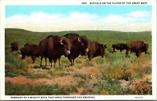 Buffalo Plains Great West Remnant Mighty Race Prairies WB Postcard VTG UNP picture