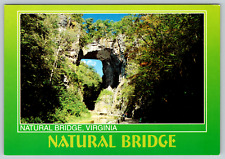 c1970s Natural Bridge Virginia Green Border Vintage Postcard picture