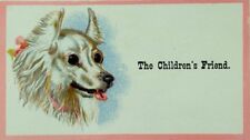 1870's-80's J. H Dudley & Co. The Children's Friend Fluffy White Dog P82 picture