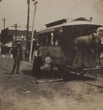 Cherrelyn Horse Car Horse on Board Englewood CO Stereoview c1900 picture