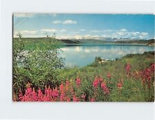 Postcard Beautiful Summit Lake Alaska USA picture