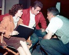 Rebel Without A Cause director Nicholas Ray Natalie Wood James Dean 24x30 poster picture