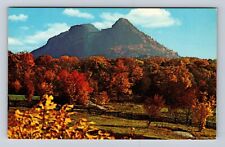 Linville NC-North Carolina, Grandfather Mountain, Antique Vintage Postcard picture