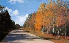 Michigan Thumb Scenery Highway 25 Caseville Port Austin Chrome Postcard picture