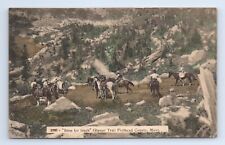 Glacier Trail Flathead County Montana Postcard Lunch Stop Horses VTG MT St. Paul picture