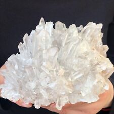 3.02LB Natural White Clear Quartz Crystal Cluster Rough Healing Specimen picture