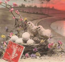 c1920 RPPC Chicks Eggs Nest Tinted  Real Photo Easter P346 picture