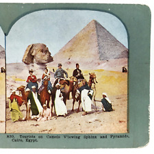 Giza Great Pyramid Sphinx Stereoview c1905 Cairo Egypt Tourists Camel Ride B429 picture