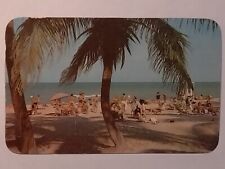Sun And Surf Bathing Under The Palms Postcard picture