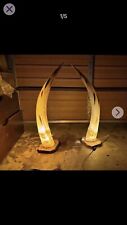 Pair Vintage African Cow Horn Lamps picture
