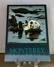 Un-Posted Postcard, Monterey Peninsula California, The Sea Otter picture