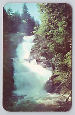 Raymondskill Falls One Of The Beauty Spots Of America Postcard 2942 picture