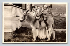 Three Children & Mother Sitting on Burro Donkey Mule Real Photo Postcard picture