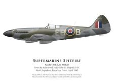 Print Spitfire Mk XIV, S/L J. Sheperd, DFC, No. 41 Squadron RAF, '45 (by G.Marie) picture