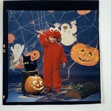 (Ac) FOUND PHOTO Photograph Snapshot Elmo Halloween Costume Jack O Lanterns picture