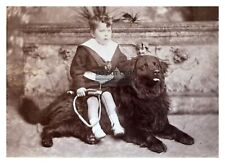 CUTE LITTLE GIRL SITTING ON HER NEWFOUNDLAND DOG 5X7 PHOTO picture