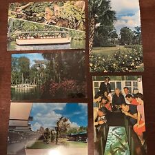 Florida Silver Spring Postcards  picture