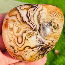 214g Top Natural Red And Black Ｍagic Lace Agate Crystal Palm stone Specimen picture