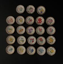 Royal Dutch Horticulture Society Miniature 1-1/2” Display Plates. Lot Of 23 picture