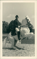 Austria, Spanish Riding School Vienna. Vintage Levade Silver Print. School es picture