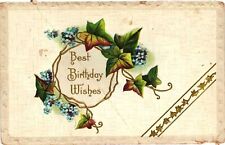 VTG EMBOSSED Postcard- Birthday, Best Birthday Wishes 1910 UnPost picture
