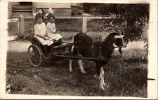 RPPC Girls in Goat Cart Vintage Postcard picture