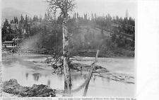 Postcard RPPC C-1910 Thompson Falls Montana Foot Bridge 24-5729 picture